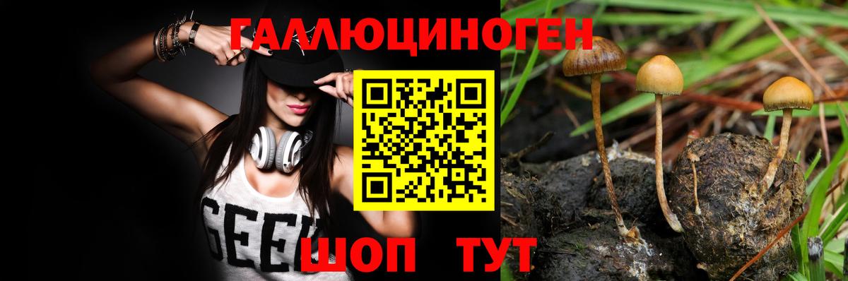 Галлюциногенные грибы ЛСД  Вход с VPN  Железноводск 